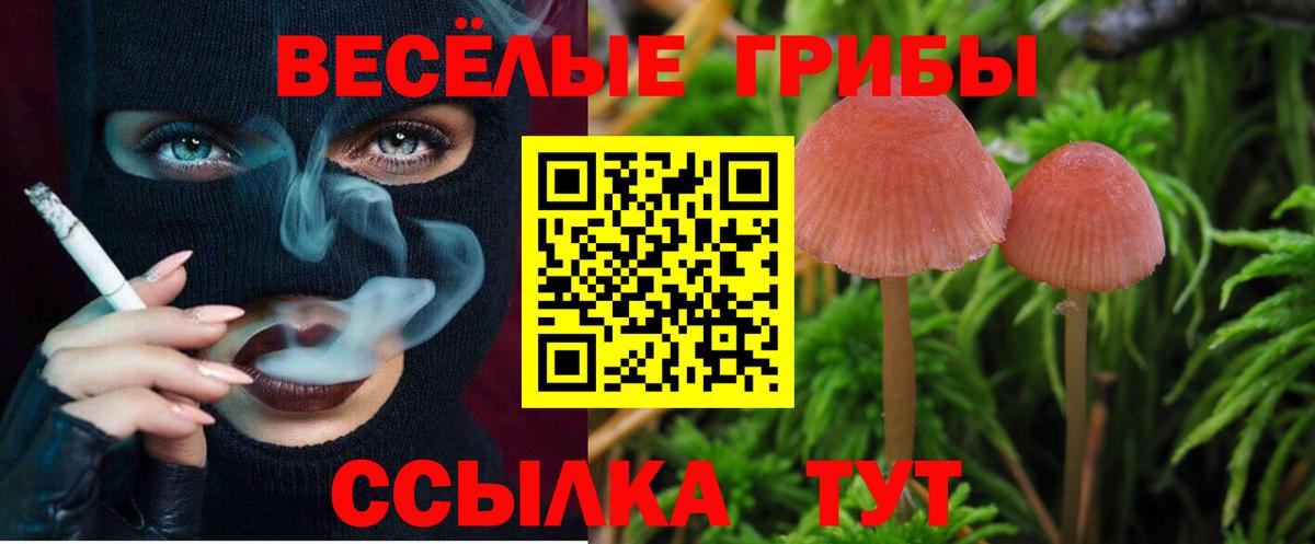 Советская Гавань  Галлюциногенные грибы ЛСД  Псилоцибиновые грибы GOLDEN TEACHER  Вход с VPN 